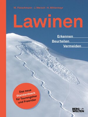 cover image of Lawinen